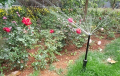 亨特灌溉扮靚昆明長(zhǎng)水國(guó)際機(jī)場(chǎng)