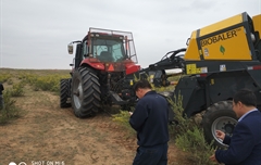 2019年，內(nèi)蒙奈吉牧草有限公司，采購一臺Anderson檸條平茬機(jī)